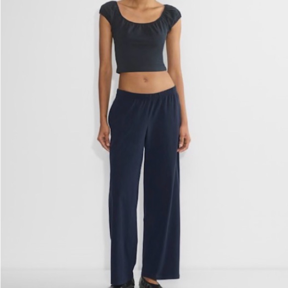 TNA Aritzia Navy Straight Leg Pants